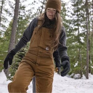🏔️ Carhartt Insulated Overalls